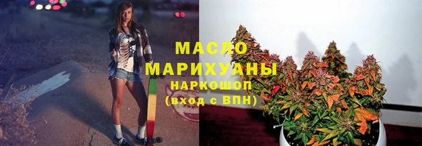 шишки Медногорск