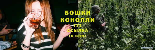 шишки Медногорск