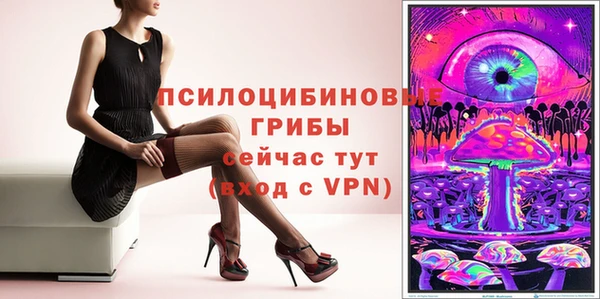 шишки Медногорск