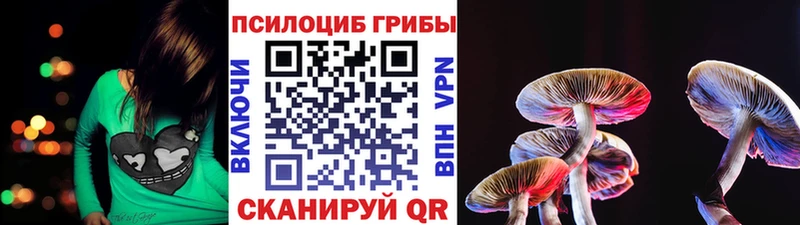 Галлюциногенные грибы Cubensis  Невельск 
